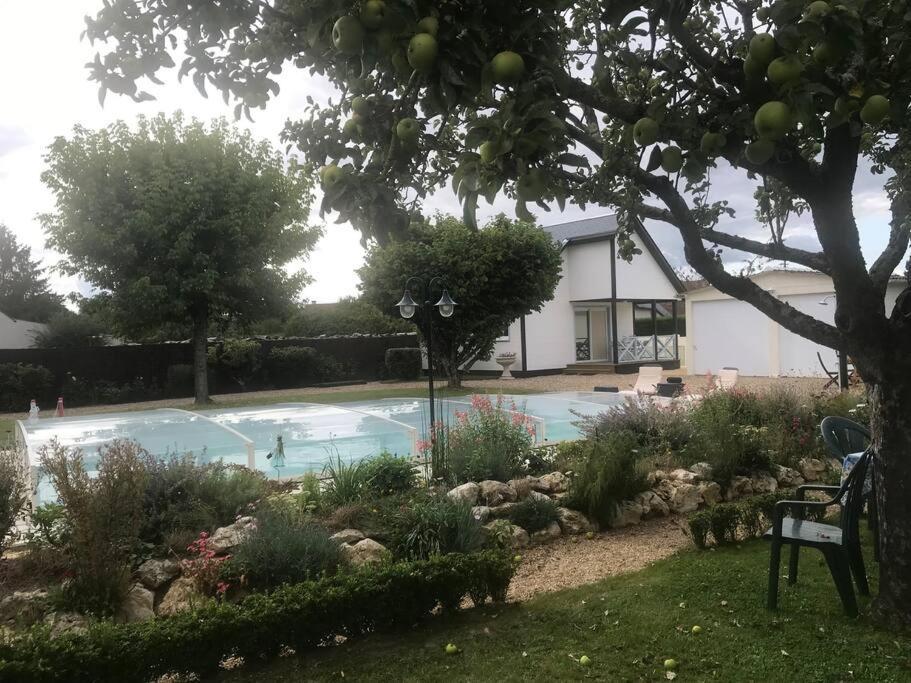 Gite Chalet-Piscine "Belle-Etoile" Touraine Anjou Courcelles-de-Touraine Esterno foto