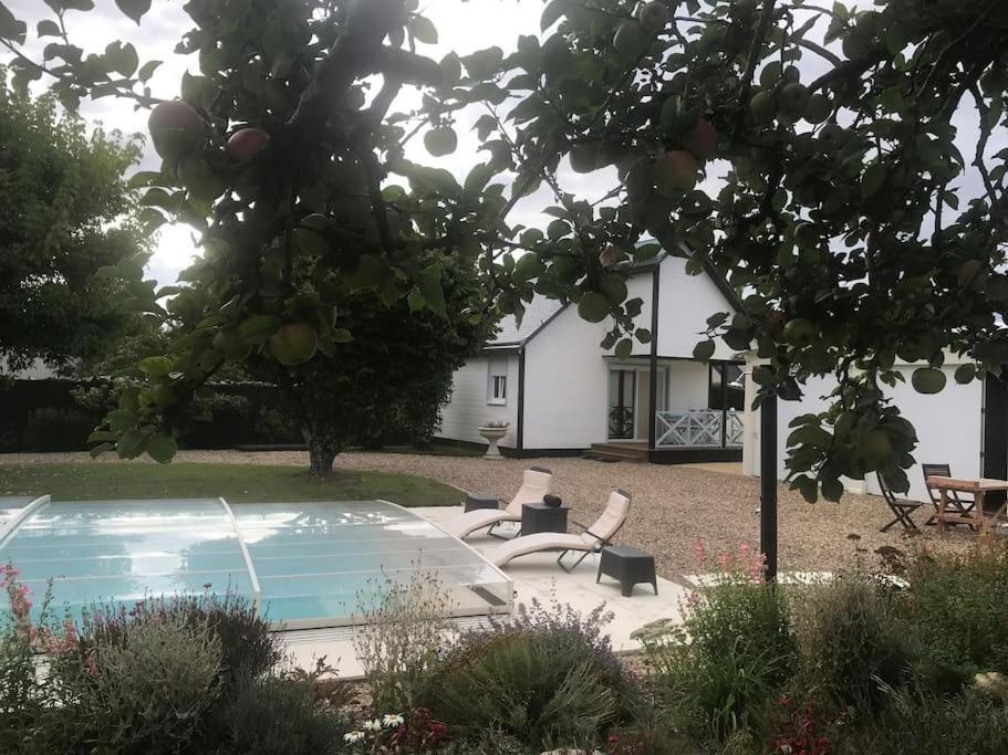 Gite Chalet-Piscine "Belle-Etoile" Touraine Anjou Courcelles-de-Touraine Esterno foto